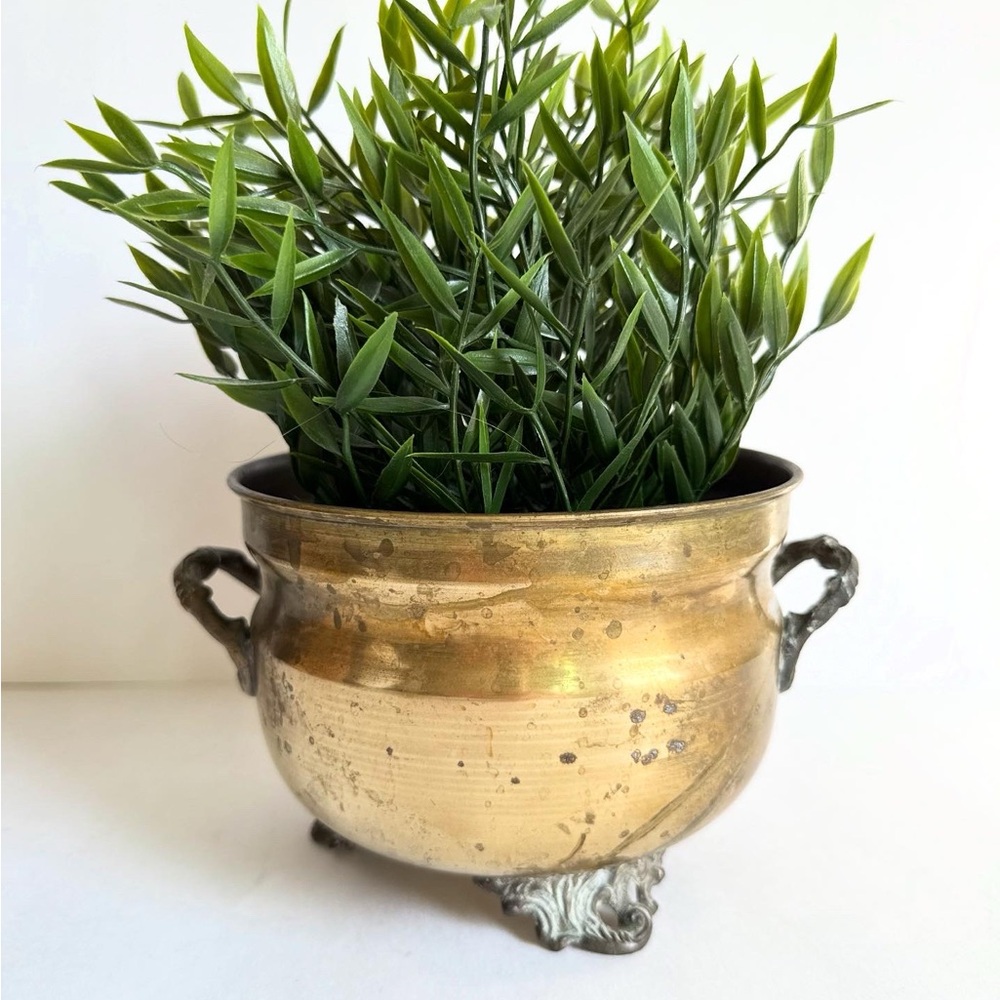 Elegant Brass Planter with Handles